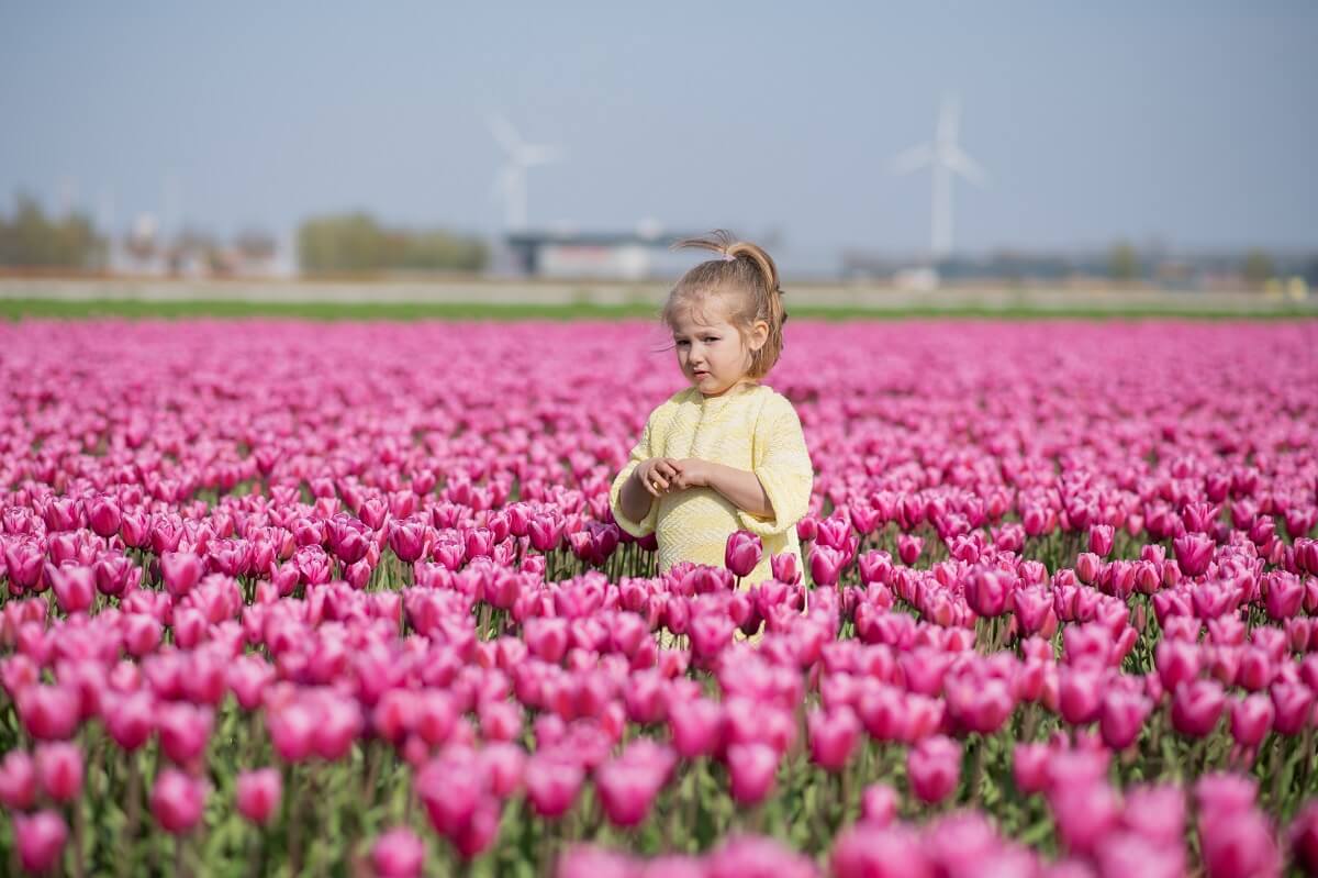 Dutch for children